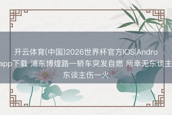 开云体育(中国)2026世界杯官方IOS|Android手机app下载 浦东博煌路一轿车突发自燃 所幸无东谈主伤一火