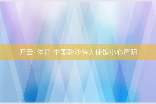 开云·体育 中国驻沙特大使馆小心声明