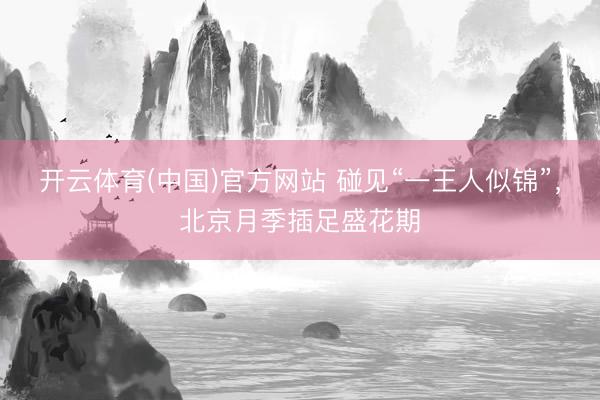 开云体育(中国)官方网站 碰见“一王人似锦”，<a href=