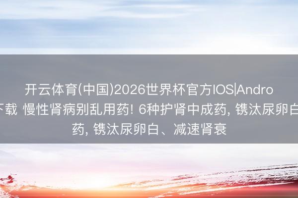 开云体育(中国)2026世界杯官方IOS|Android手机app下载 慢性肾病别乱用药! 6种护肾中成药, 镌汰尿卵白、减速肾衰
