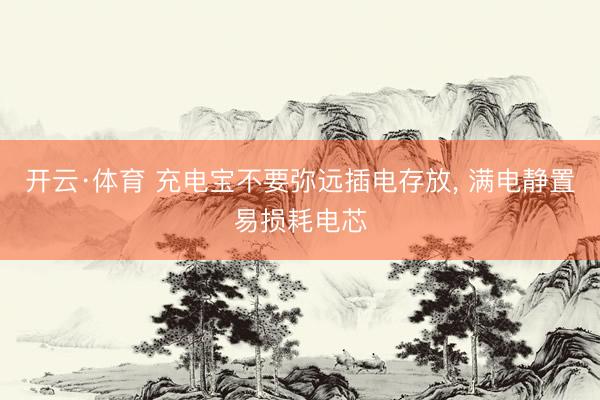 开云·体育 充电宝不要弥远插电存放, 满电静置易损耗电芯
