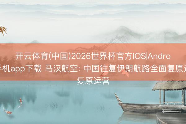开云体育(中国)2026世界杯官方IOS|Android手机app下载 马汉航空: 中国往复伊朗航路全面复原运营