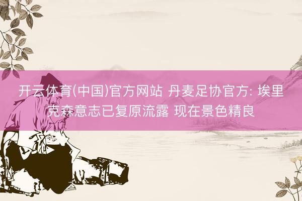 开云体育(中国)官方网站 丹麦足协官方: 埃里克森意志已复原流露 现在景色精良