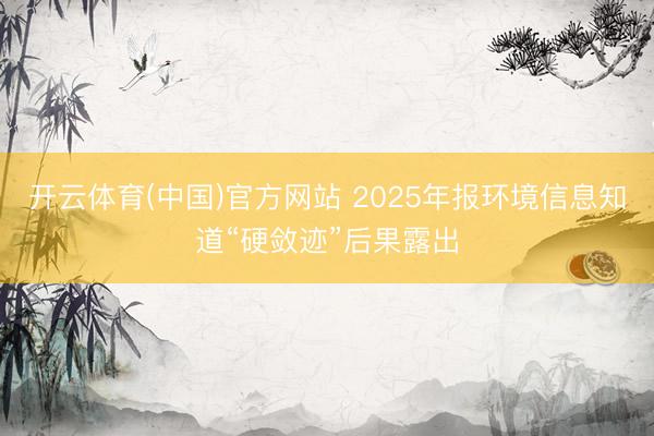 开云体育(中国)官方网站 2025年报环境信息知道“硬敛迹”后果露出