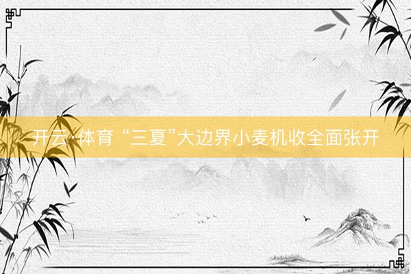 开云·体育 “三夏”大边界小麦机收全面张开