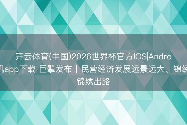开云体育(中国)2026世界杯官方IOS|Android手机app下载 巨擘发布|民营经济发展远景远大、锦绣出路