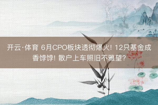 开云·体育 6月CPO板块透彻爆火! 12只基金成香饽饽! 散户上车照旧不雅望?