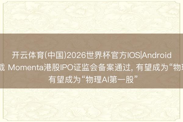 开云体育(中国)2026世界杯官方IOS|Android手机app下载 Momenta港股IPO证监会备案通过, 有望成为“物理AI第一股”