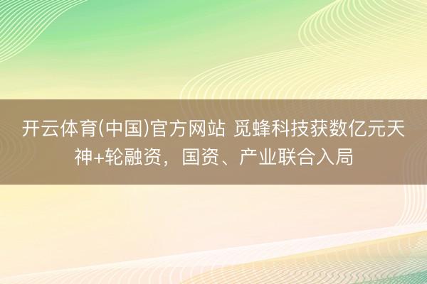 开云体育(中国)官方网站 觅蜂科技获数亿元天神+轮融资,国资、产业联合入局