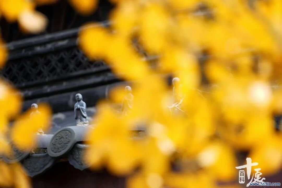 顾东晓 (2)_副本.jpg